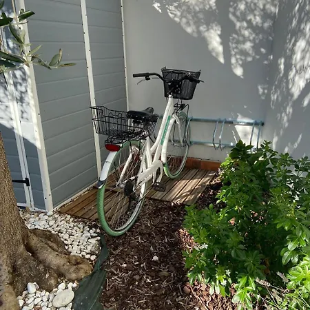 Charming House With Garden In The Heart Of Martin Saint-Martin-de-Ré